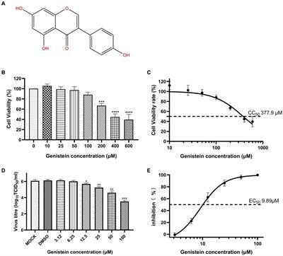 Genistein is effective in inhibiting Orf virus infection in vitro by targeting viral RNA polymerase subunit RPO30 protein